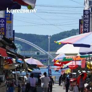 [DAY TOUR] Texture of Tongyeong