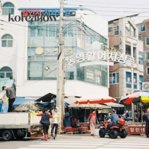 [DAY TOUR] Tongyeong Sea Art Alley Tour