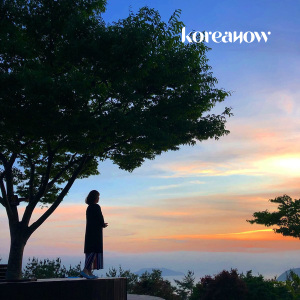 [DAY TOUR] Tongyeong Sunset Healing & Nature Tour