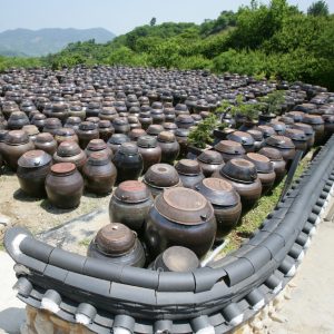 Cheongmaesil Farm