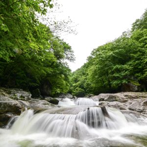 Baemsagol Valley