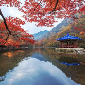 Naejangsan Mountain