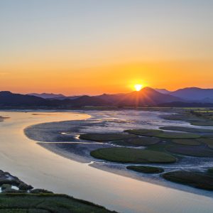 Suncheonman Bay Wetland